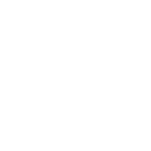external Link to Twitter